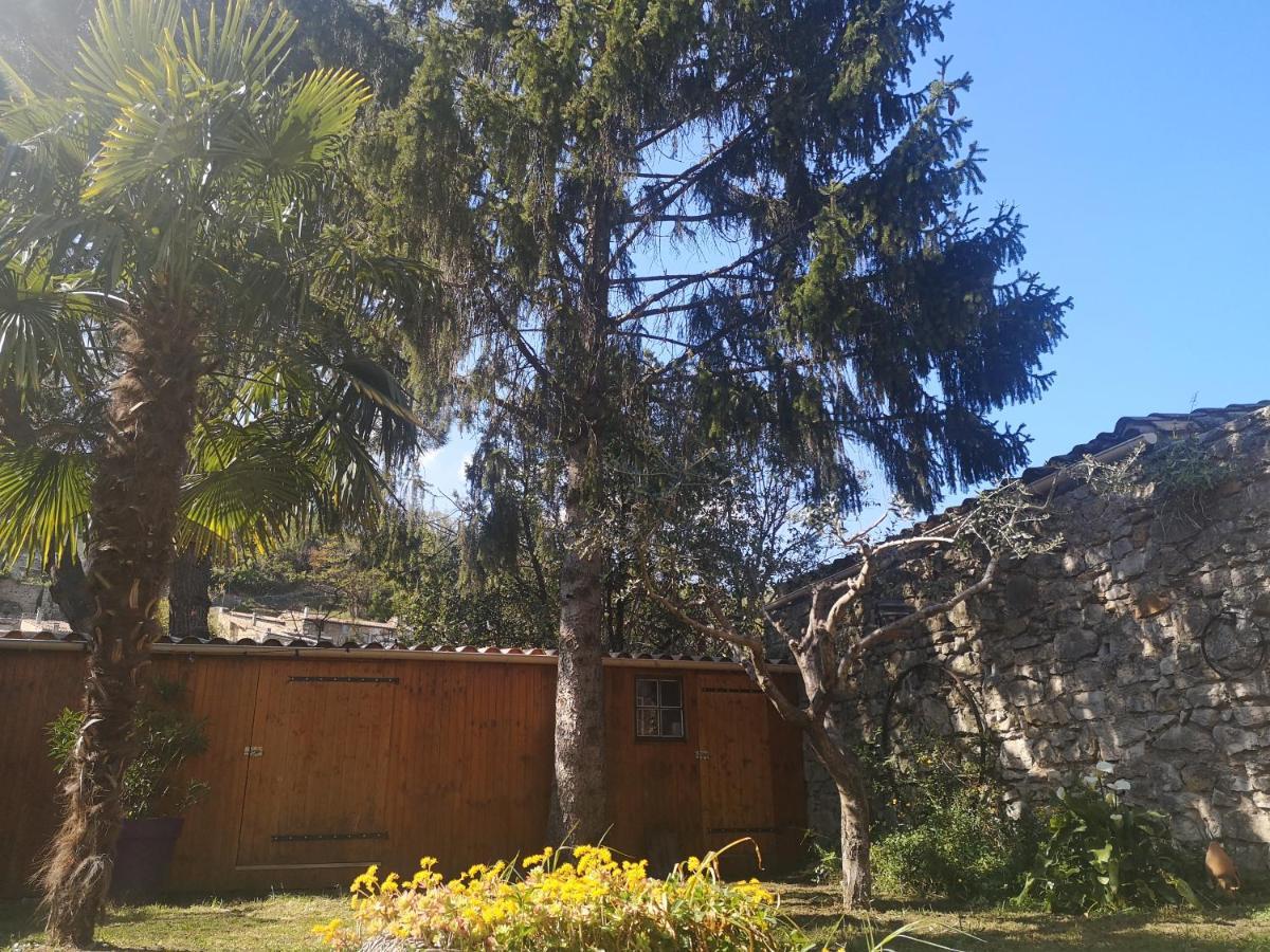 Cosy Verdoyant Rdc Avec Piscine Charmes-sur-Rhone